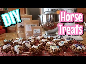 Bake Horse Treats with Me // DIY // Ginger Biscuits Horse Treats