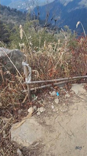 Sikkim vlog day 2❤️✨️.#sikkim #sikkimtour #travelvlog #fypシ゚viral #love #nature #westbengal #india