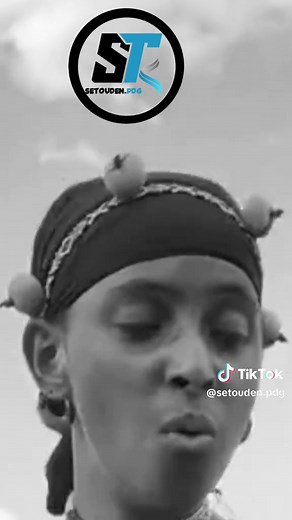 Setouden: Analyzing Political Associations and Data