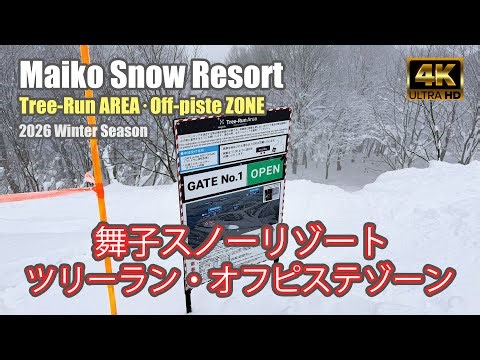 【4K SKI JAPOW】舞子スノーリゾート2026：ツリーラン・オフピステゾーン｜コース紹介（Maiko Snow Resort）-2026/2/3