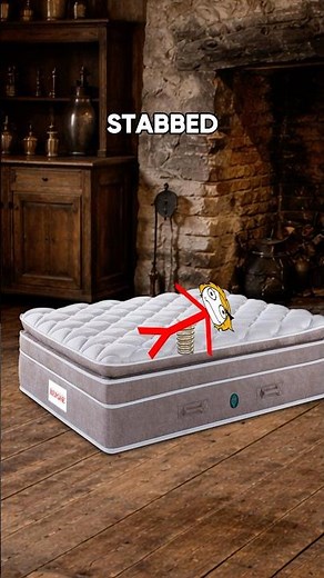 The Invention of Beds!!🛏️😴#shorts #facts