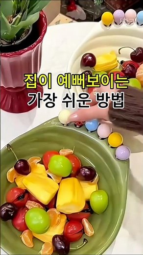 집들이 필수템 과일접시 포크세트 디저트그릇 샐러드접시 집들이템 예쁜그릇