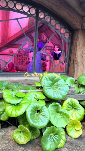 Countdown to a Magical Disney World Trip