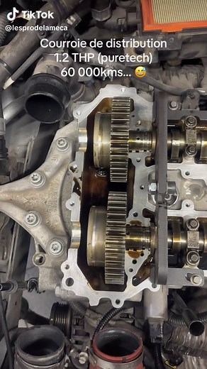 Calage Distribution Moteur Puretech: Guide Complet