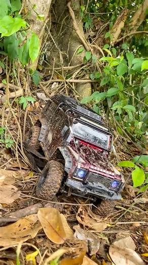 Off Road Driving Trx4 Defender | Traxxas Trx4 | Entrance Free #traxxas #offroad #trx4 #rccar