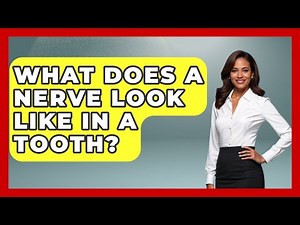 What Does A Nerve Look Like In A Tooth? - The Pro Dentist