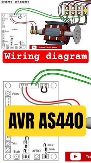 Brushed self excited generator, avr wiring diagram
