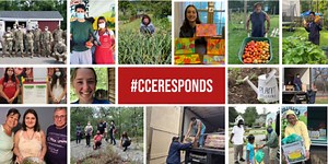 About Us: Helping New Yorkers Thrive