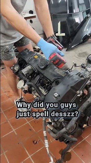 need me a T-R-E-A-T... Wiring harness and cover off. e90 n53 bmw engine #bmw