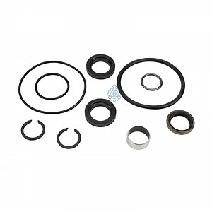 [Hot Item] 244619 284015 Repair Kit Control Cylinder for Truck 2-/3-Series