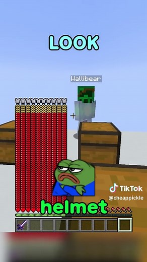 Exploring Wooden Structures in Minecraft