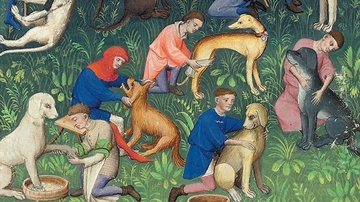 Les chiens au Moyen Âge : ce que les écrits médiévaux nous apprennent sur les animaux de compagnie de nos ancêtres - RTBF Actus
