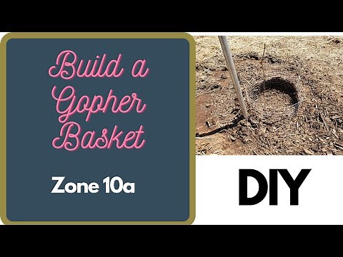 Build Your Own Gopher Basket/Cage