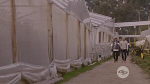 La Reina del Flow 2 Capítulo 44