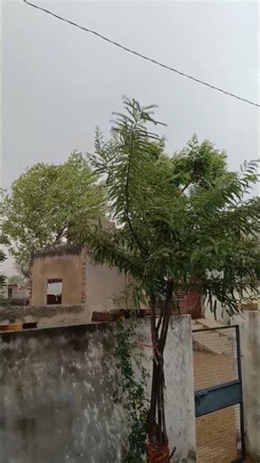 Rainy days have come🌧️🌧️ pleasant weather #viral #viralvideo #shortvideo #shorts