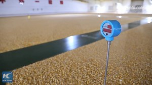 192K views · 174 shares | With a population of 1.4 billion, China has more people to feed than any other country in the world. How does it ensure food security? Click to find out | China Xinhua News | Facebook