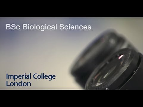 Biological Sciences BSc - Imperial College London