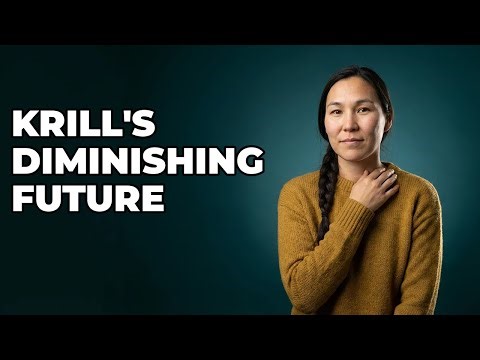 Why Are Krill Shrinking With Ocean Warming?