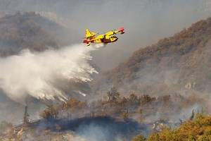 Feux de forêt en Algérie : quelles leçons des drames passés ?