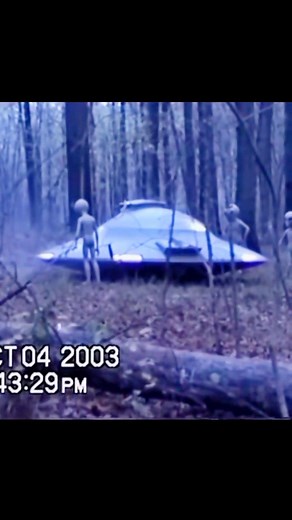11K views · 416 reactions | Tu que harías en una situación así? | Alien Misterios | Facebook