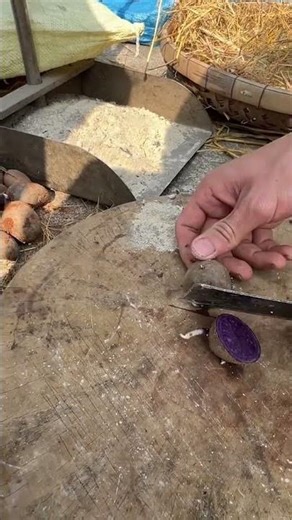 No Pain, No Gain 🍋 Rural life 🍉 Farming #rurallife #vlog #farming #shorts 6