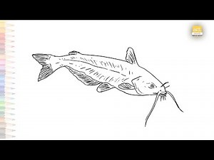 Catfish easy drawings | fish drawing tutorials | How to draw A Catfish step by step | #artjanag