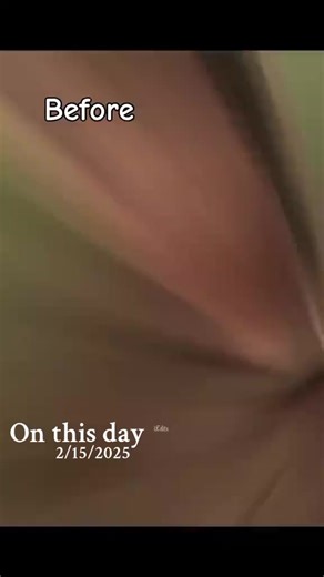 #onthisday #sobiii_x_125💀 #jnuuuuuu😚✨ #سنگت_ویڈیو_وائرل_کریسو_آپ_ہیں🥀🌼🙈✨🎇