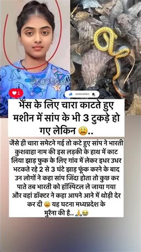 #localstarbinit #creator_Rashida #shortvideo #viral #viralvideo #bollywood