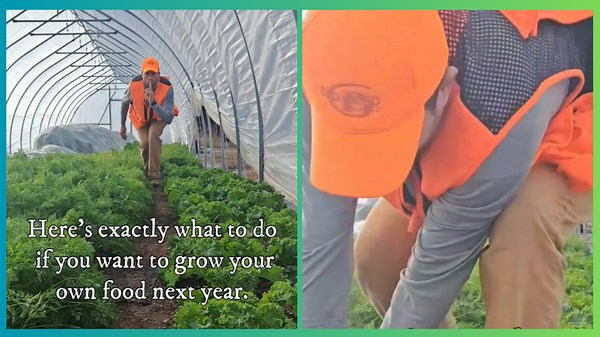 Beginner’s Guide to Backyard Planting