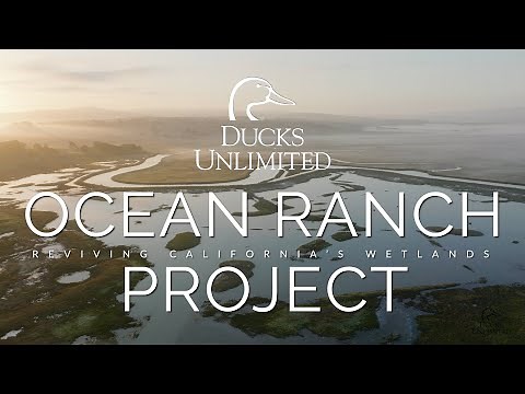 Reviving California's Wetlands: The Ocean Ranch Project