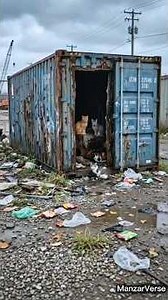 Stray Cat Shelter: He Turned a Rusty Container Into a Home