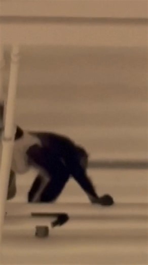 16K views · 118 reactions | A pet monkey escaped from its owner and caused a stir inside a Spirit Halloween store in Plano, swinging from rafters and climbing store fixtures for over 30 minutes. Police say the monkey was eventually coaxed down with a cookie. | NBC 7 San Diego | Facebook