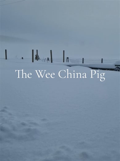 Exploring Scottish Songs: A Journey Through 'The Wee China Pig'