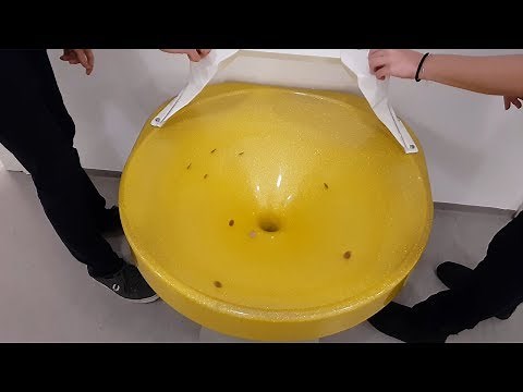 Multiple Coins Inside A Coin Vortex Funnel