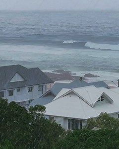 12K views · 280 reactions | What’s the difference between weather and climate? You can’t weather a tree, but you can climate  Please hit us with your top wet weather activities... we need them!  | The Londoner | Facebook