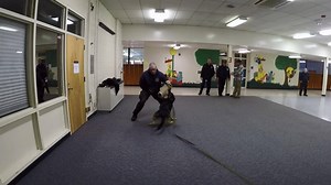 Have you ever wondered what it is like to be a police K-9 handler, or the actual police dog for that matter? Wonder no longer! Check out this compiled footage of our K-9 training session where they worked on bite work, building searches and even a little bit of playing in the snow. | Sterling Heights Police Department