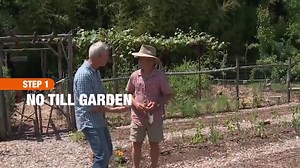Gardening expert on how to keep your garden free of weeds