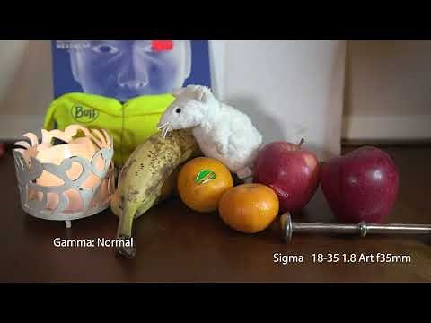 Canon C200 Gamma & Color Matrix modes test/comparison