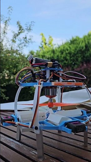 3D printed monocopter