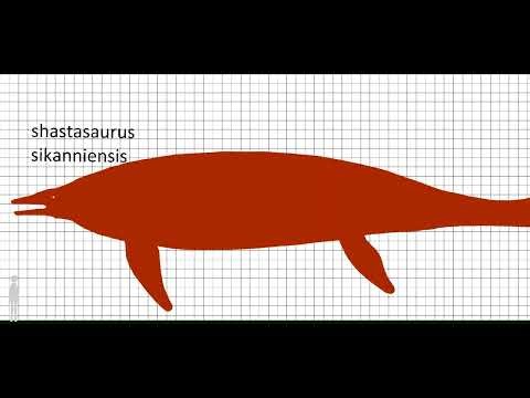 pivot stk pack 4 (pivot animator)