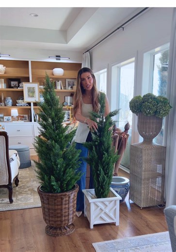 The price! & you get 2!!! 🌳✨👀 these faux cedar trees really elevate outdoor spaces! #fauxcedartrees #fauxtree #porchdecor #homedecor #tiktokshopcreatorpicks