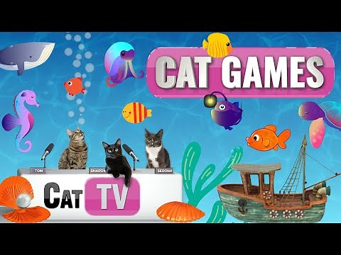 CAT Games | Fish and Bubbles Extravaganza Vol 2! 🐟💦 | Cat TV Compilation Video For Cats to Watch 😼