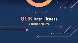 QLIK-DATA-FITNESS