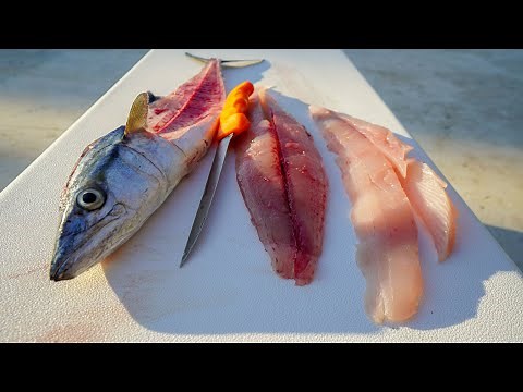 How To Fillet and Clean Cero Mackerel