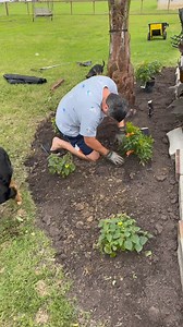 1.2K views · 14 reactions | If the Lowe’s garden center is the peak...