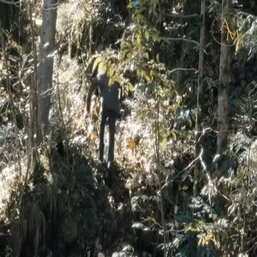 Top Best New on Netflix | Way back home