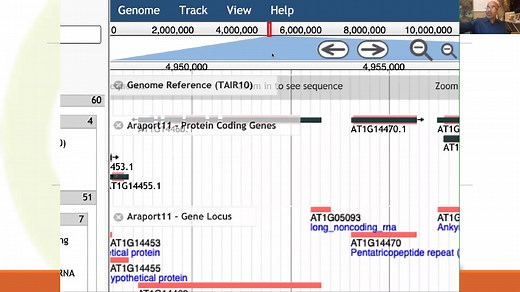 Using the genome browser JBrowse at TAIR