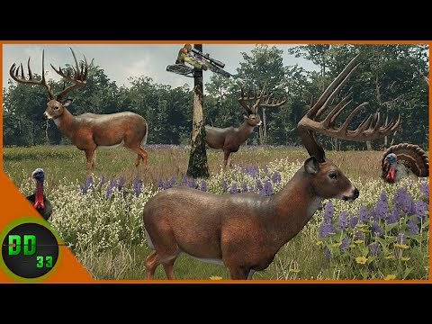 The Most Incredible Whitetail Tree Stand Hunt During The Rut! Call Of The Wild