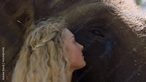 close up woman touching elephant caressing animal companion enjoying friendship feeling connection to nature in zoo 4k