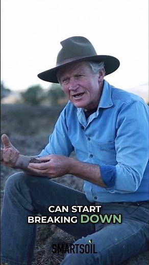 Dry Soil Makes Water?! Amazing Plant Growth Secret Revealed! #shorts